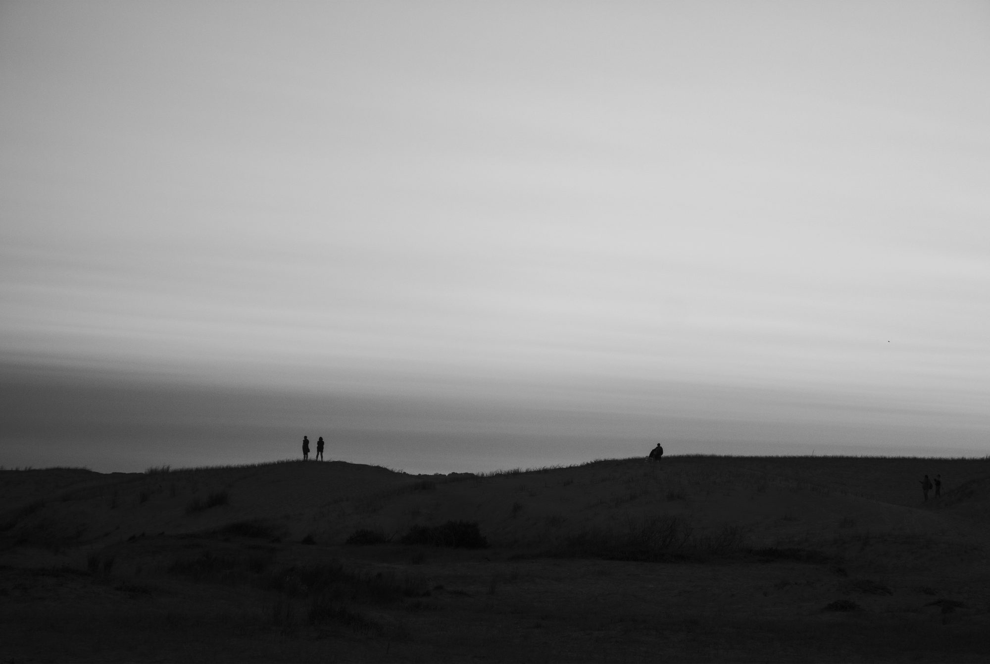 MONOCROMO