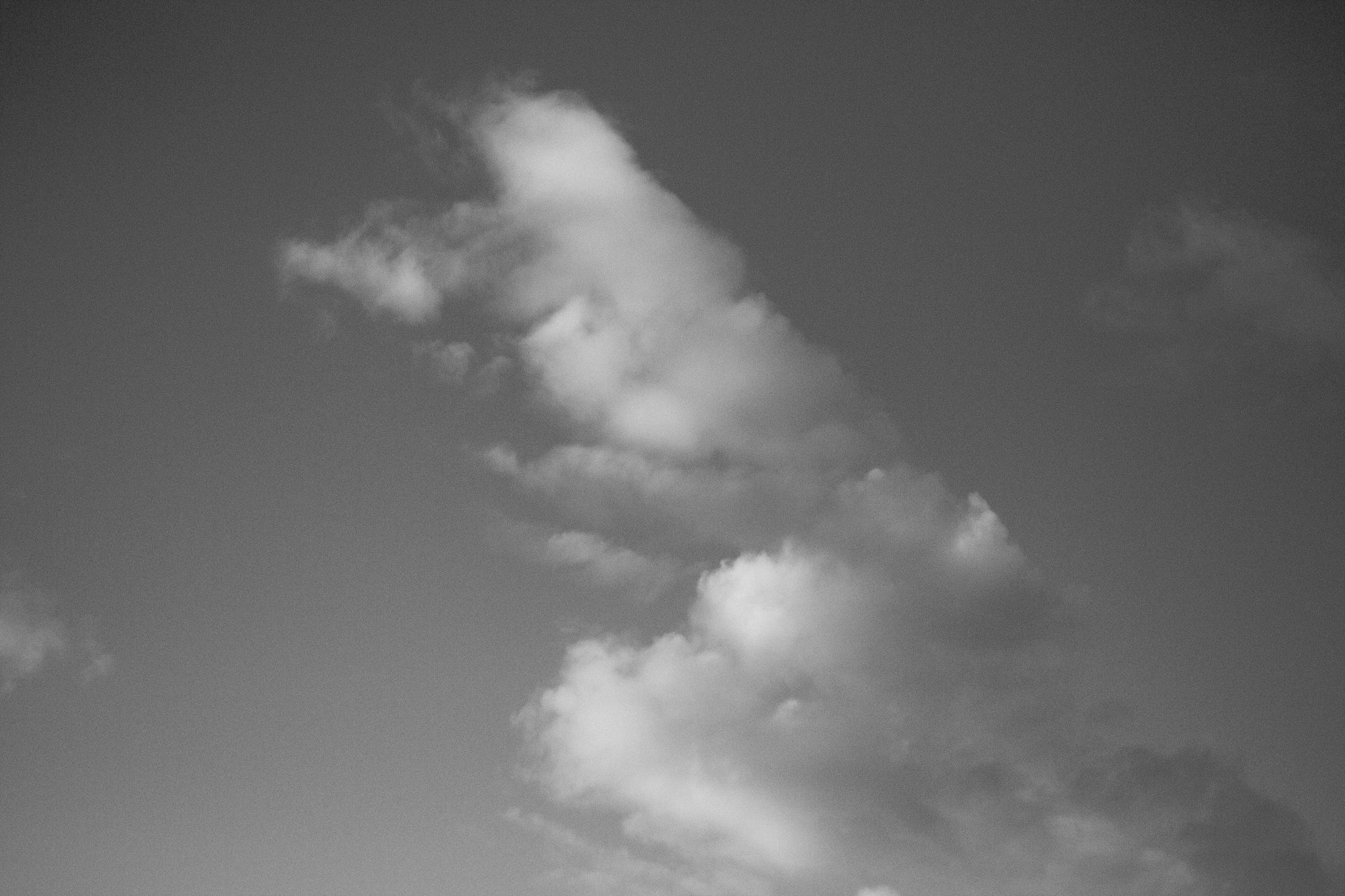 MONOCROMO