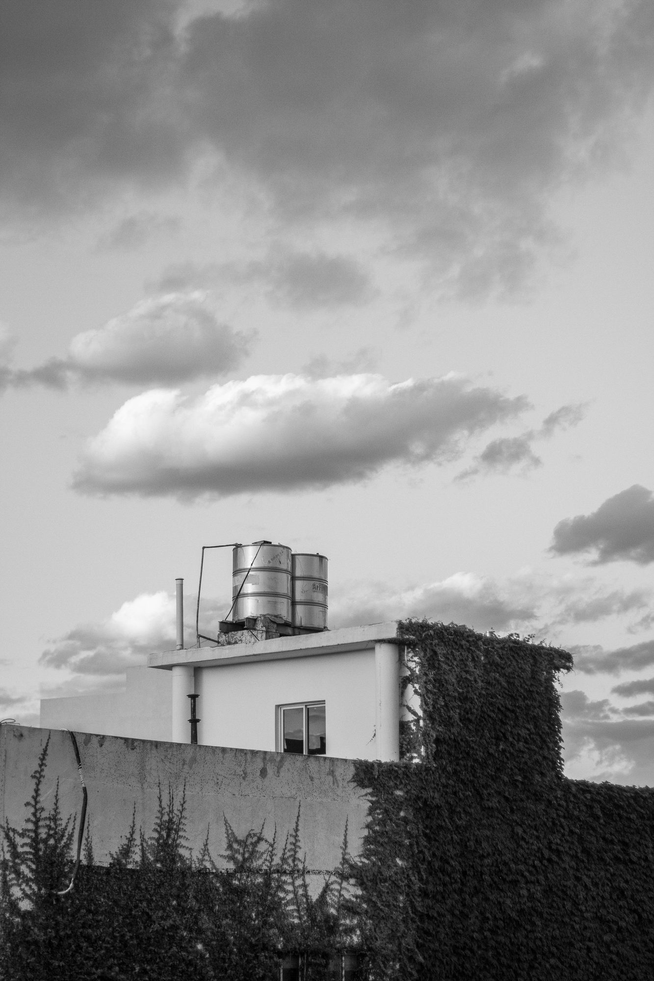 MONOCROMO