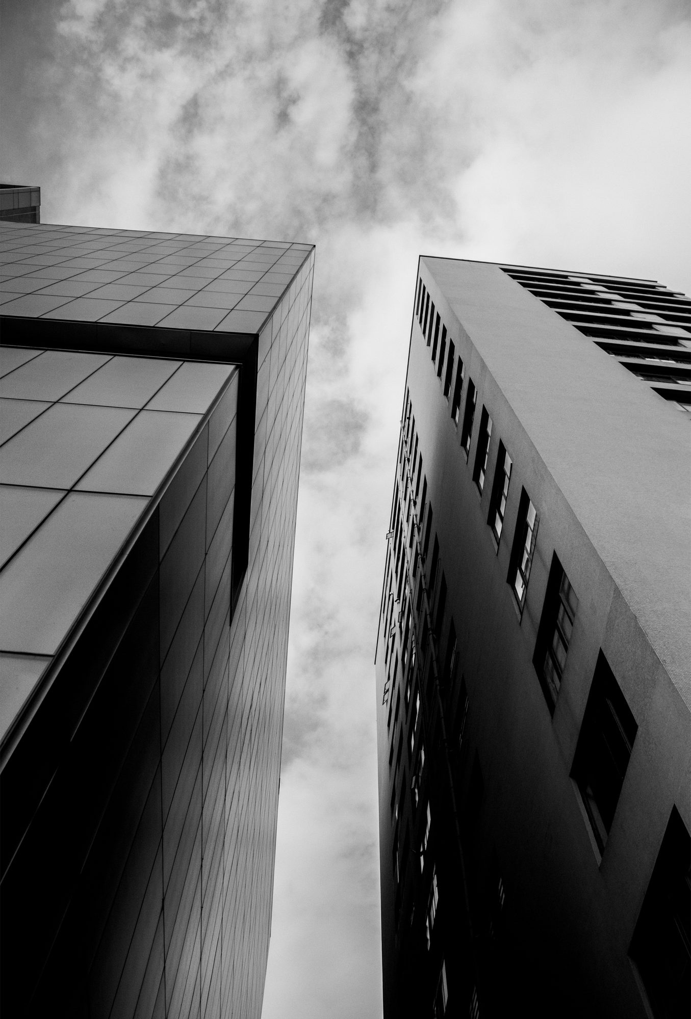 MONOCROMO